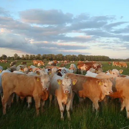 Hébergement de vacances Haus Dornroeschen *